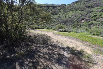 Enlarge photo 32