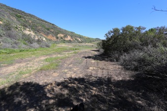 Enlarge photo 33