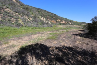 Enlarge photo 34