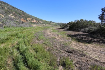 Enlarge photo 35
