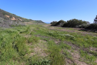 Enlarge photo 36