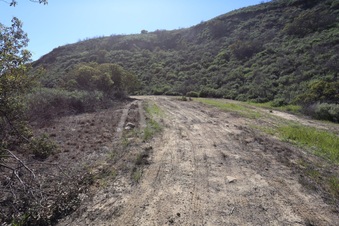 Enlarge photo 41