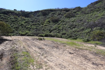 Enlarge photo 42