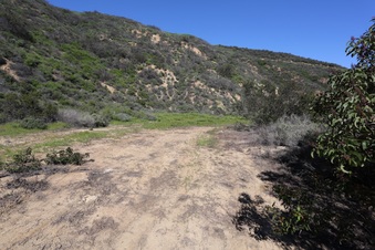 Enlarge photo 43