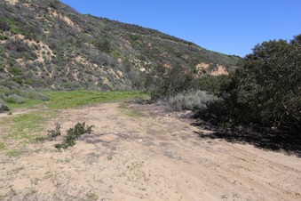 Enlarge photo 44