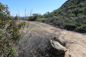 Enlarge photo 46