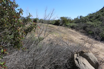 Enlarge photo 47