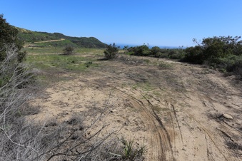 Enlarge photo 48
