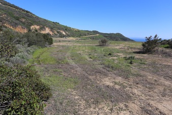 Enlarge photo 49