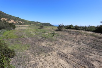 Enlarge photo 50