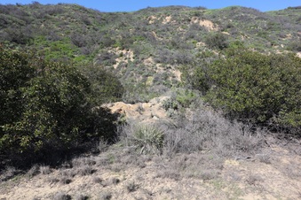 Enlarge photo 52