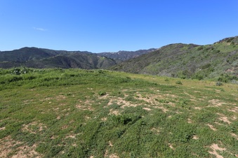 Enlarge photo 54