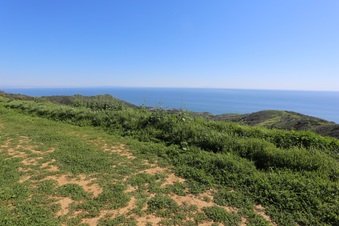 Enlarge photo 58