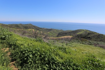Enlarge photo 59