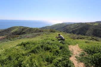 Enlarge photo 61