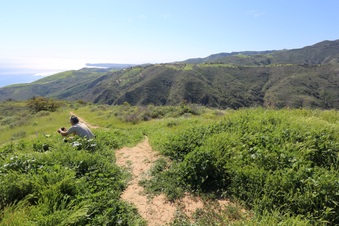 Enlarge photo 62