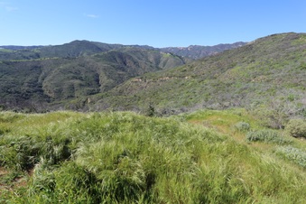 Enlarge photo 64