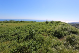 Enlarge photo 67