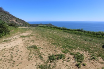 Enlarge photo 71