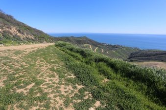 Enlarge photo 74