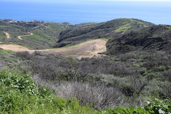 Enlarge photo 75