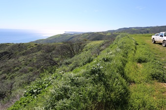 Enlarge photo 78