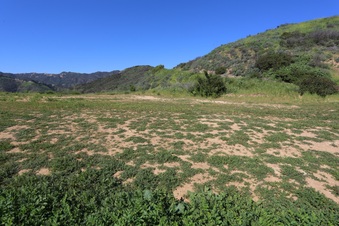 Enlarge photo 81