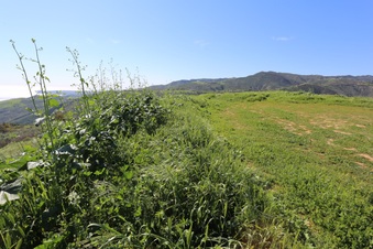 Enlarge photo 87