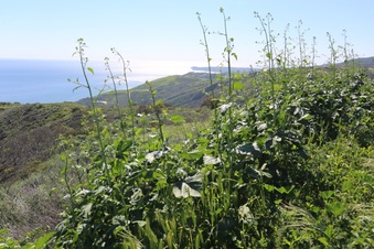 Enlarge photo 88