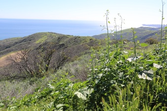 Enlarge photo 89