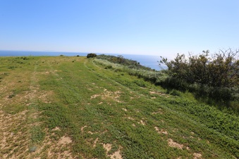 Enlarge photo 91