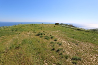 Enlarge photo 92