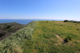 Enlarge photo 93