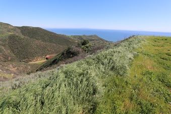 Enlarge photo 94