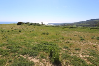 Enlarge photo 95