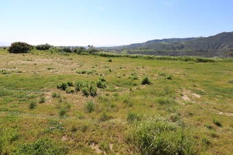 Enlarge photo 96