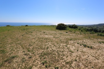 Enlarge photo 98