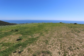 Enlarge photo 99