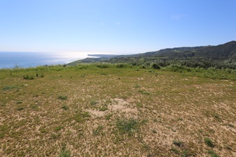 Enlarge photo 102