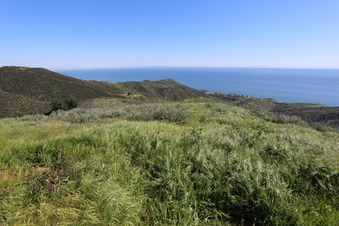 Enlarge photo 103