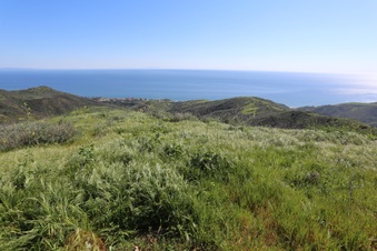 Enlarge photo 104