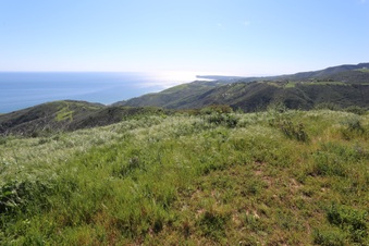Enlarge photo 105