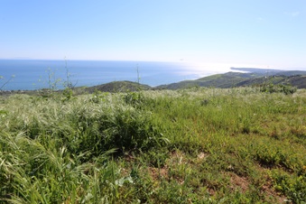 Enlarge photo 106