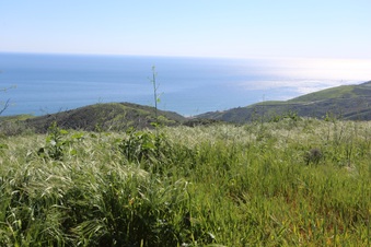 Enlarge photo 107