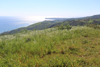Enlarge photo 108