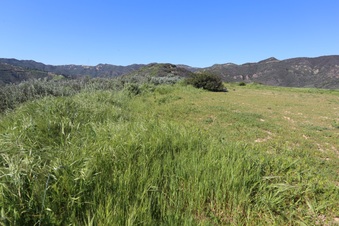 Enlarge photo 110