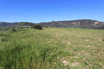 Enlarge photo 111