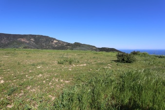 Enlarge photo 113