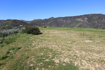 Enlarge photo 114