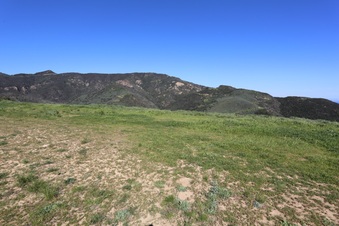 Enlarge photo 117